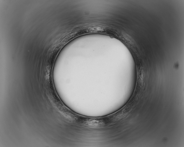 X0000116040315200912111446