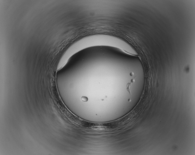 X0000116040316200912111446