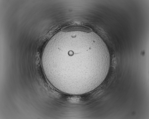 X0000116040318200912111446