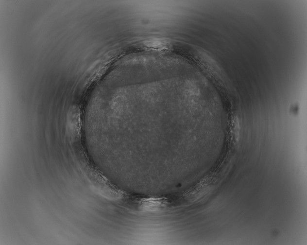 X0000116040320200912111446