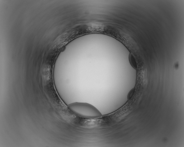 X0000116040323200912111446