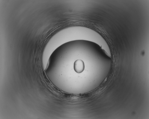 X0000116040325200912111446