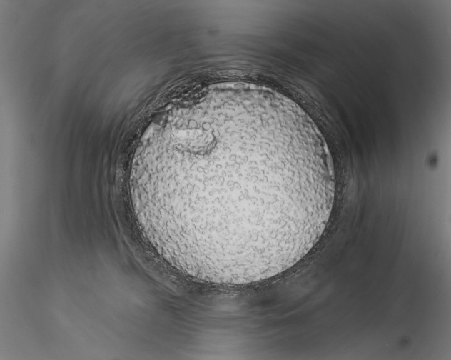 X0000116040326200912111446