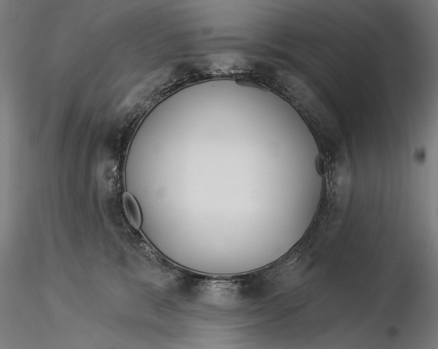 X0000116040327200912111446