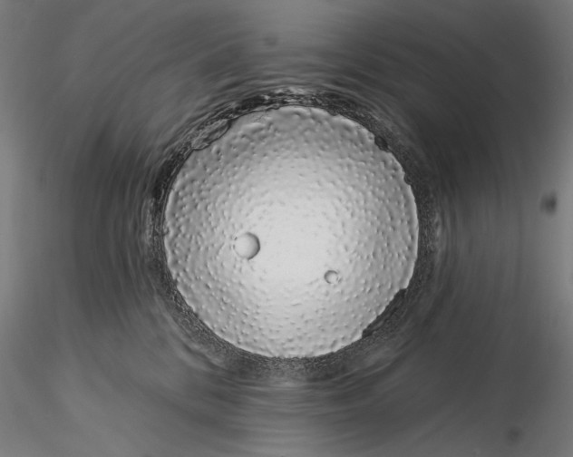 X0000116040328200912111446
