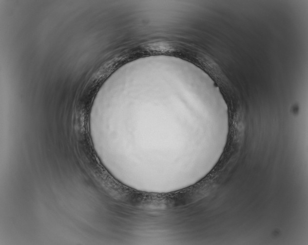 X0000116040330200912111445