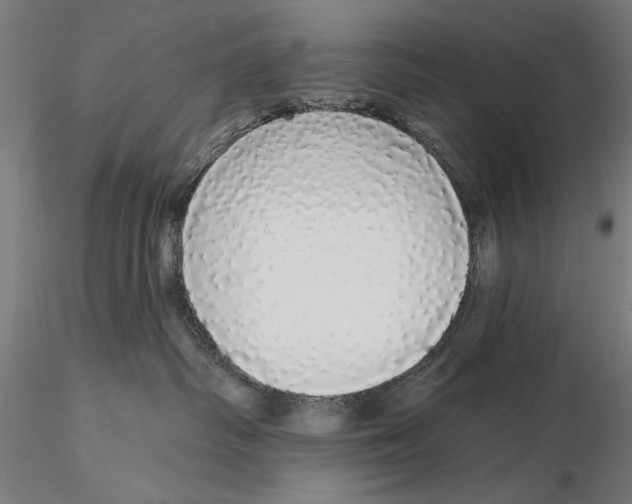 X0000116040334200912111445