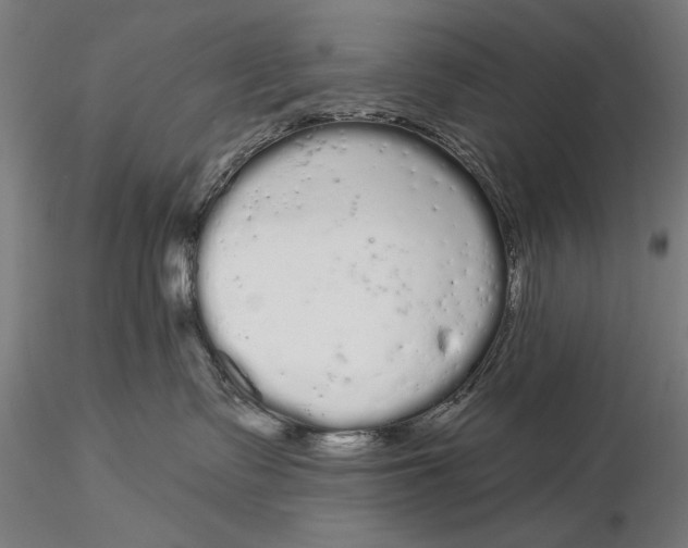 X0000116040335200912111445