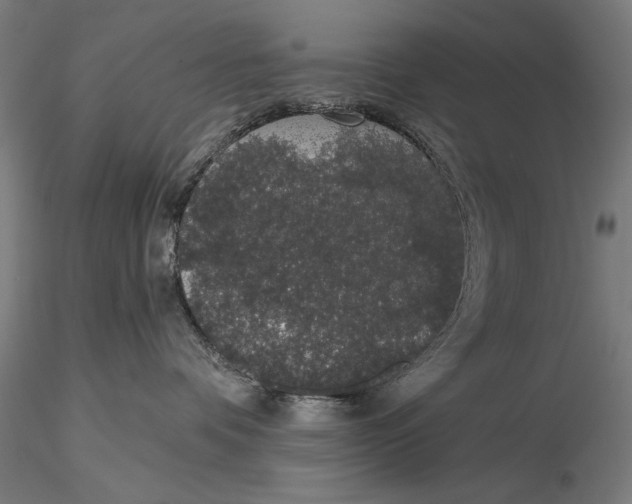 X0000116040336200912111445