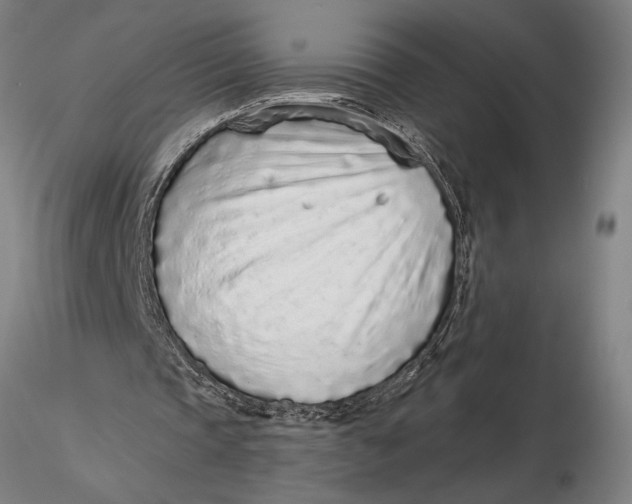 X0000116040337200912111445