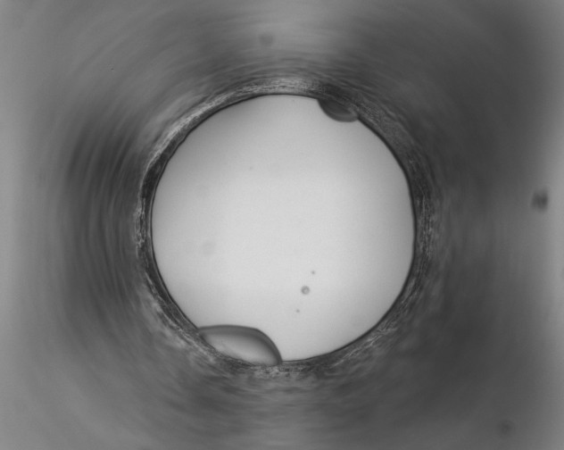 X0000116040338200912111445