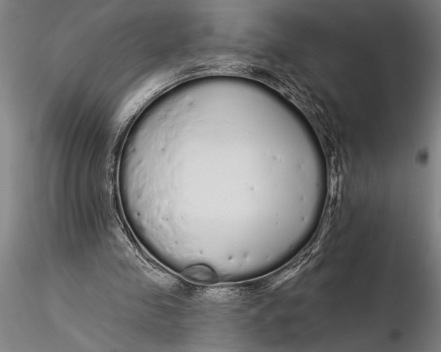 X0000116040341200912111445