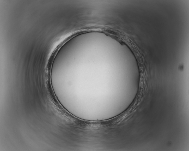 X0000116040342200912111445