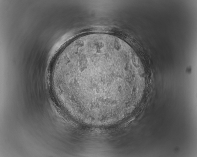 X0000116040343200912111445