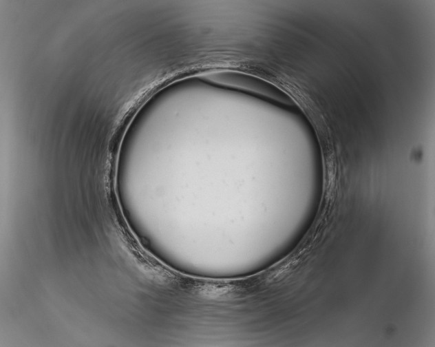 X0000116040346200912111445