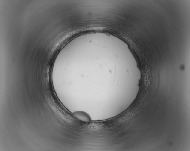 X0000116040350200912111445