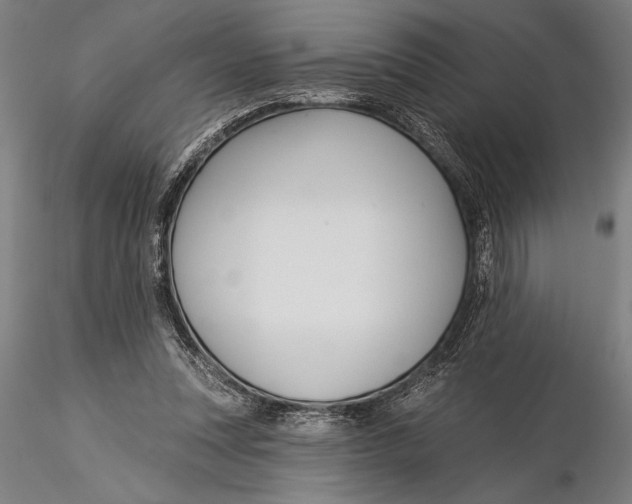 X0000116040351200912111445