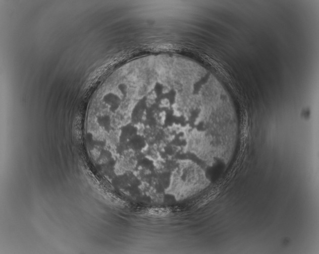 X0000116040353200912111445