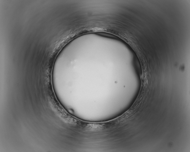 X0000116040354200912111445