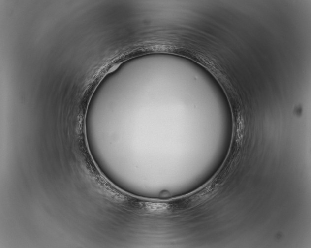 X0000116040355200912111445