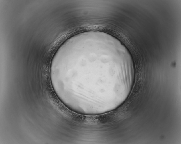 X0000116040357200912111445