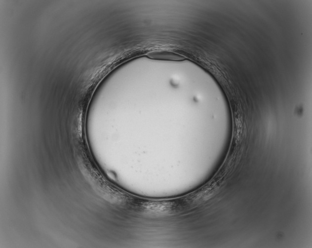 X0000116040358200912111445