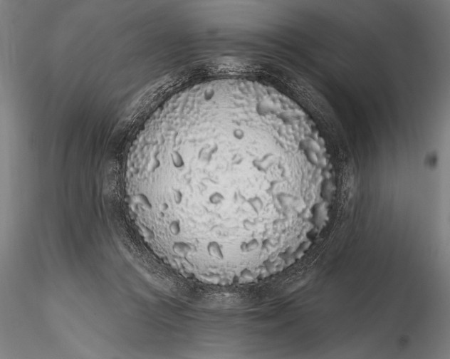 X0000116040361200912111445