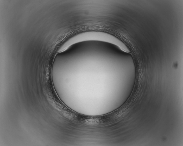X0000116040362200912111445