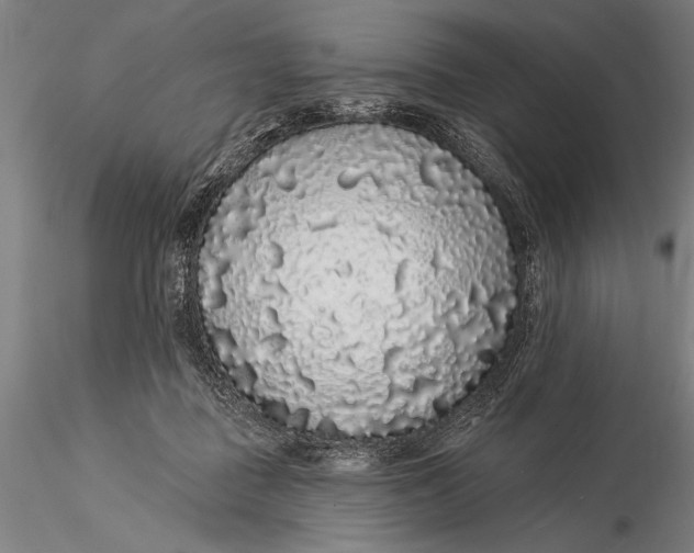X0000116040363200912111445