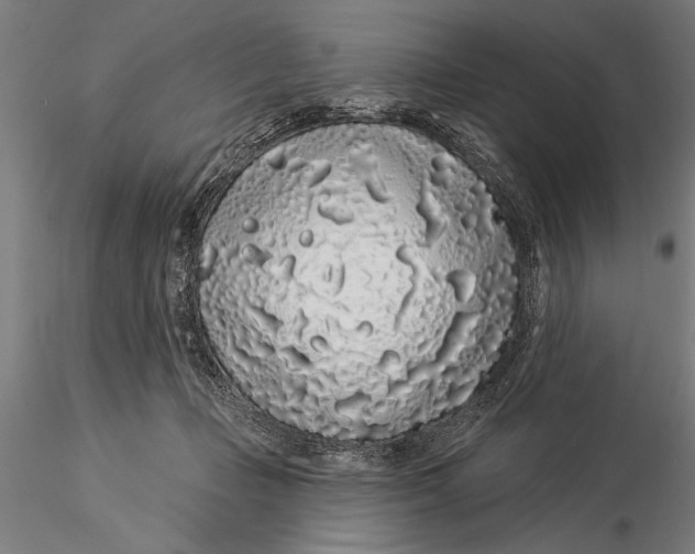 X0000116040365200912111445