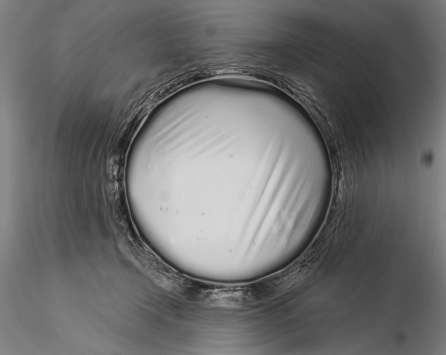 X0000116040366200912111445
