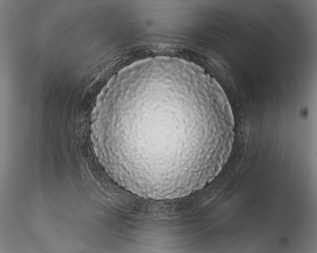 X0000116040367200912111445