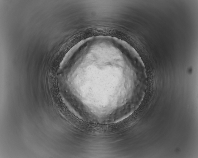X0000116040371200912111445