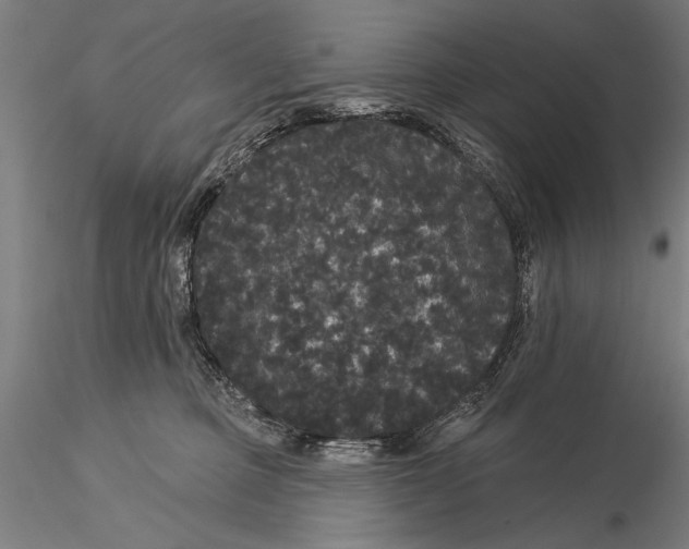 X0000116040373200912111445