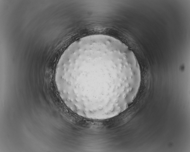 X0000116040374200912111445
