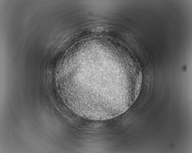 X0000116040375200912111445