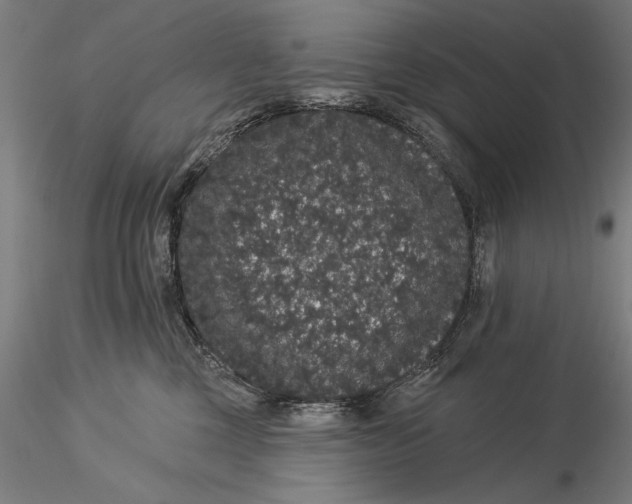 X0000116040377200912111445