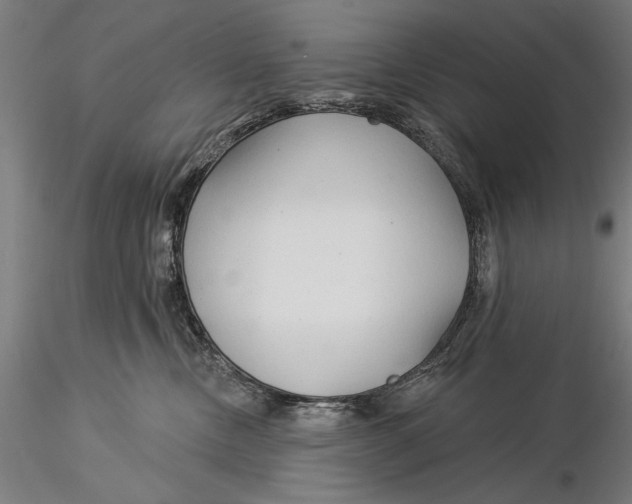 X0000116040378200912111445