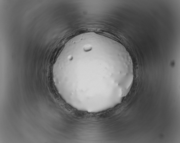 X0000116040379200912111445