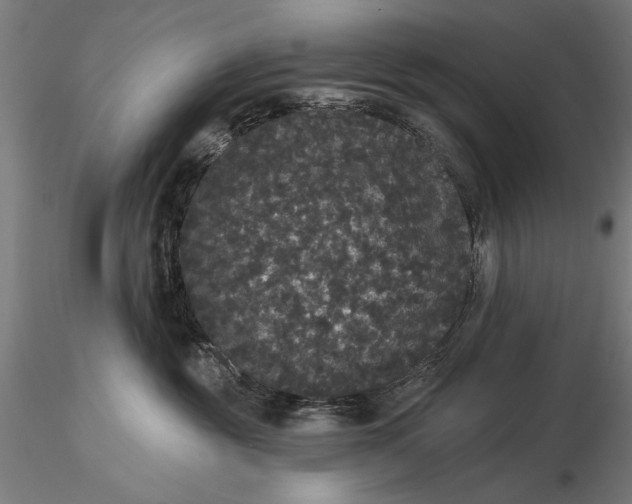 X0000116040381200912111445