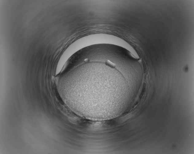 X0000116040382200912111445