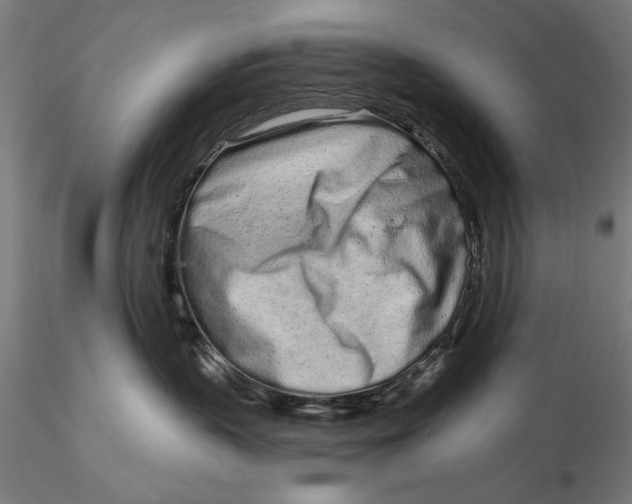 X0000116040383200912111445