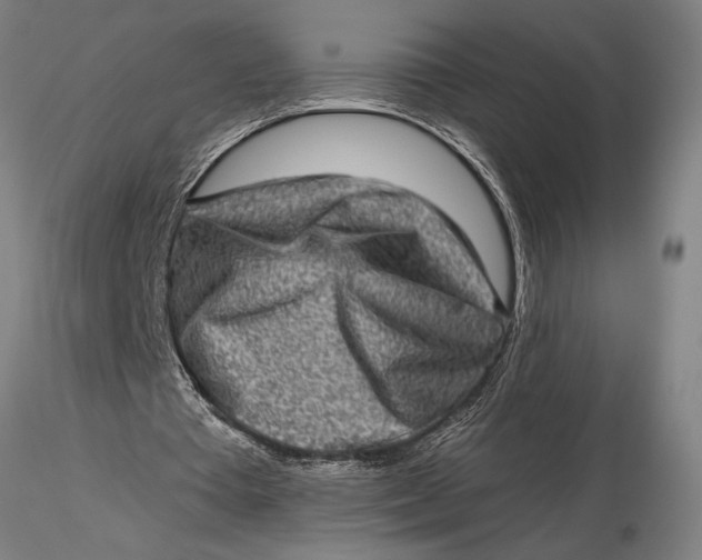 X0000116040385200912111445