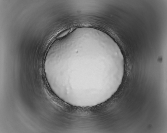 X0000116040386200912111445