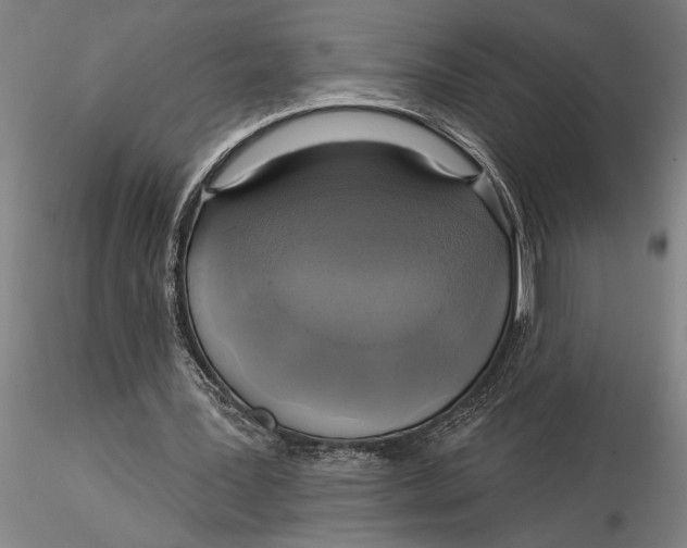 X0000116040387200912111445