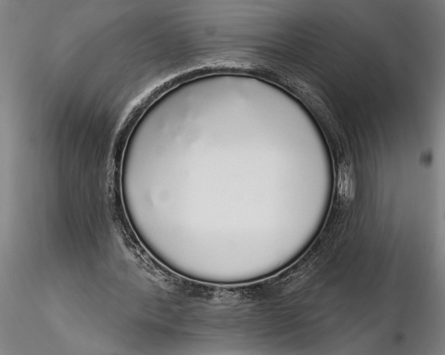 X0000116040388200912111445
