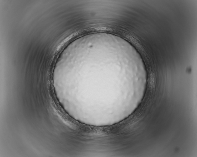 X0000116040390200912111444