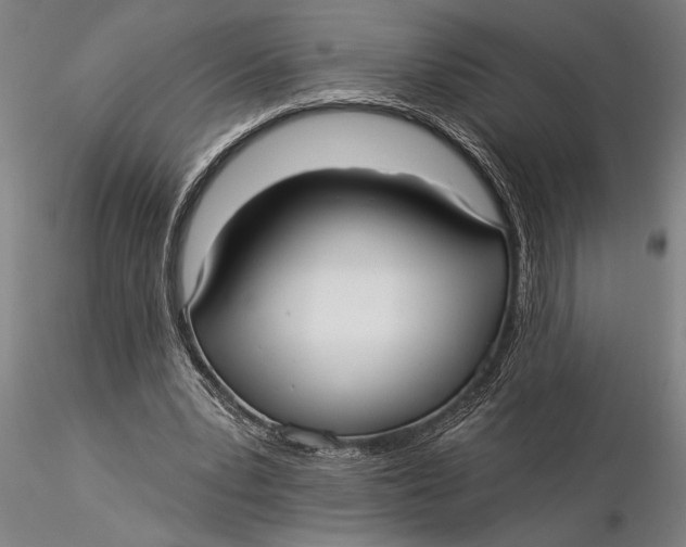 X0000116040391200912111444