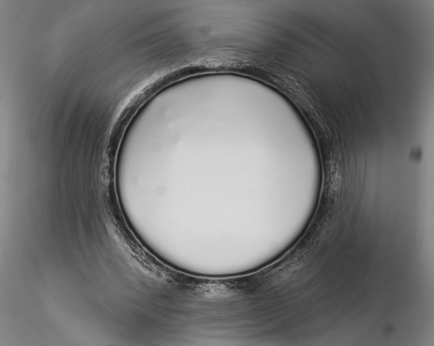 X0000116040392200912111444