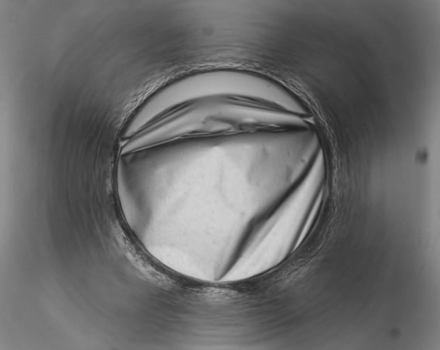 X0000116040393200912111444